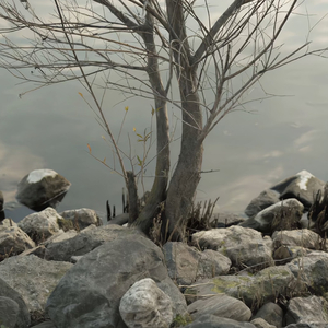 美女被操視頻1區2區3區
