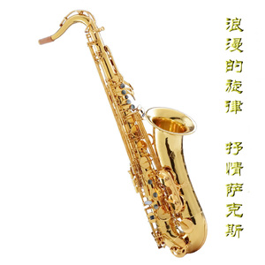 美女被操視頻1區2區3區
